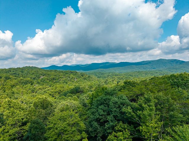 600 Cohutta Mountain Road, Blue Ridge, GA 30513