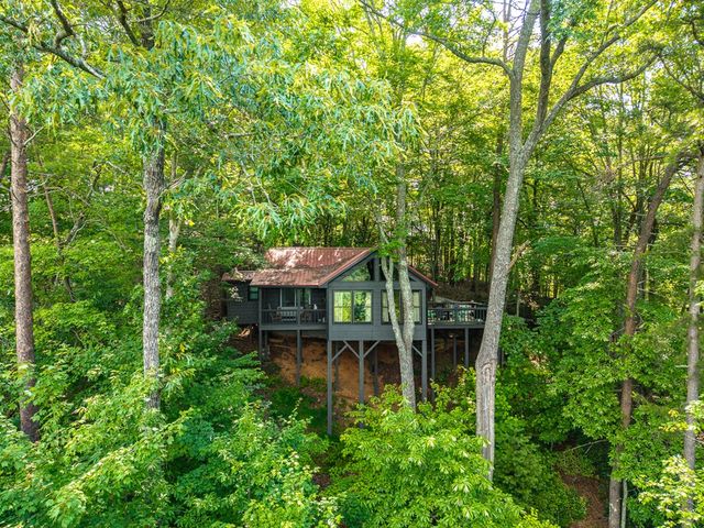 600 Cohutta Mountain Road, Blue Ridge, GA 30513