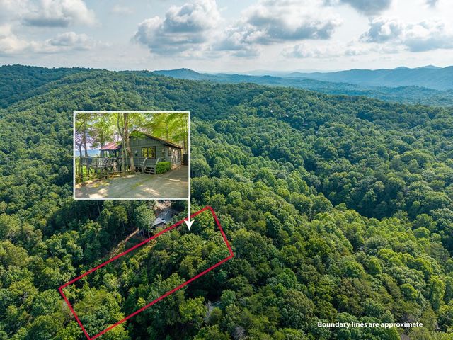 600 Cohutta Mountain Road, Blue Ridge, GA 30513