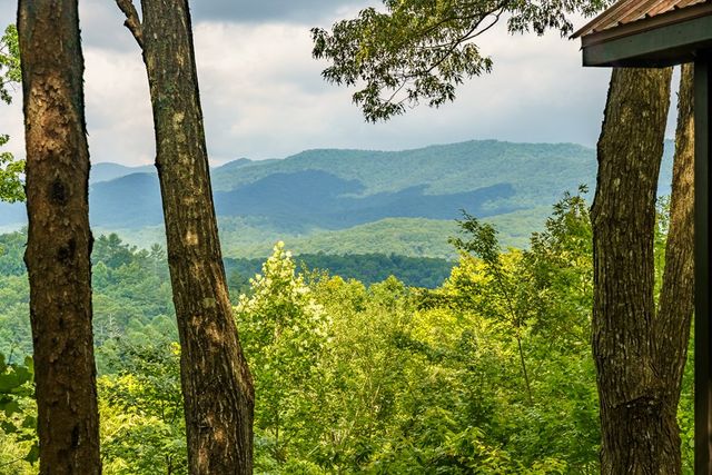 600 Cohutta Mountain Road, Blue Ridge, GA 30513