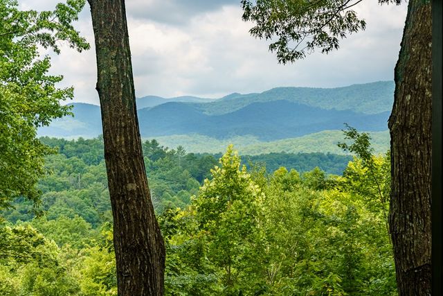 600 Cohutta Mountain Road, Blue Ridge, GA 30513