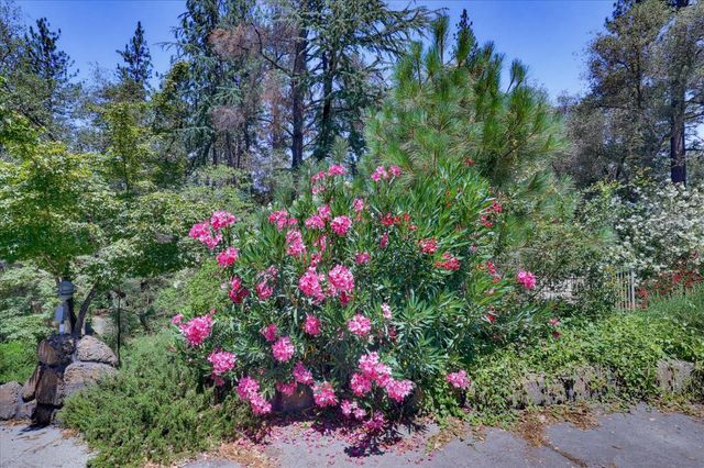 11412 Cottontail Way, Penn Valley, CA 95946