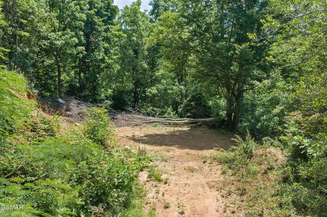520 Verless Ogle Road, Sevierville, TN 37876