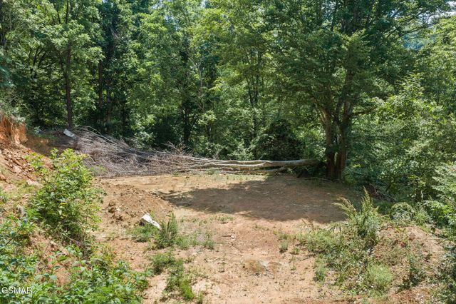 520 Verless Ogle Road, Sevierville, TN 37876
