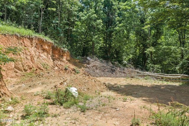 520 Verless Ogle Road, Sevierville, TN 37876