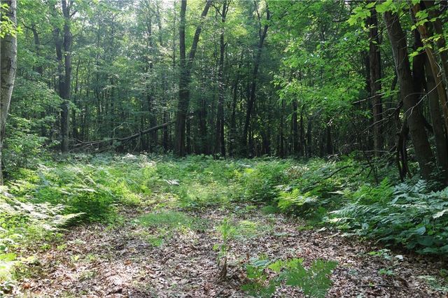 Lot 11 103rd Street Streets, Frederic, WI 54837