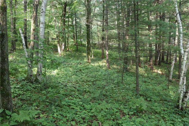 Lot 11 103rd Street Streets, Frederic, WI 54837