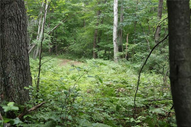 Lot 11 103rd Street Streets, Frederic, WI 54837