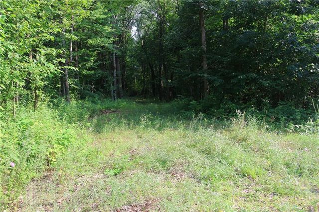 Lot 11 103rd Street Streets, Frederic, WI 54837