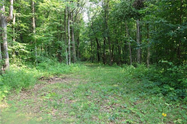 Lot 11 103rd Street Streets, Frederic, WI 54837