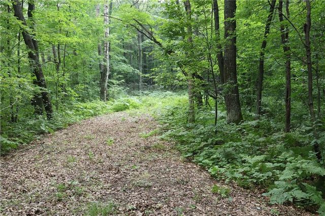 Lot 11 103rd Street Streets, Frederic, WI 54837