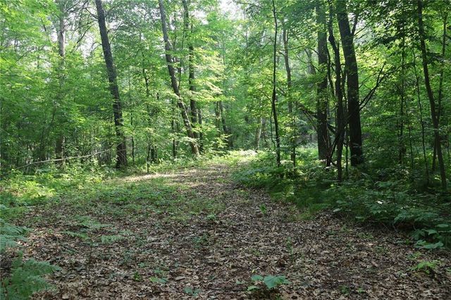 Lot 11 103rd Street Streets, Frederic, WI 54837