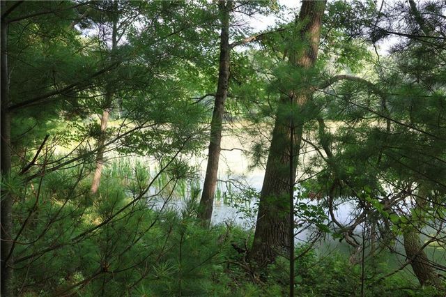 Lot 11 103rd Street Streets, Frederic, WI 54837