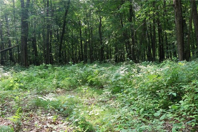 Lot 11 103rd Street Streets, Frederic, WI 54837