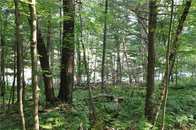 Lot 11 103rd Street Streets, Frederic, WI 54837