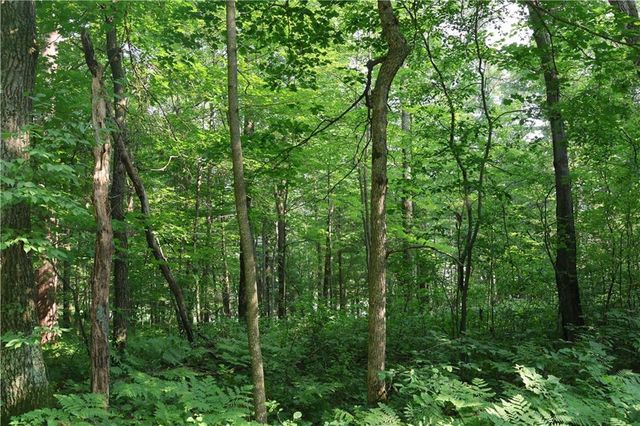 Lot 11 103rd Street Streets, Frederic, WI 54837