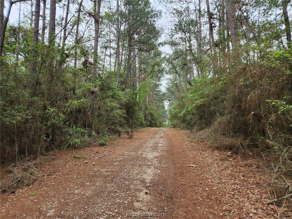 Lot 25 North Council Dr., Hempstead, TX 77445 — exterior