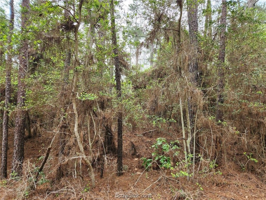 Lot 25 North Council Dr., Hempstead, TX 77445 — photo 2