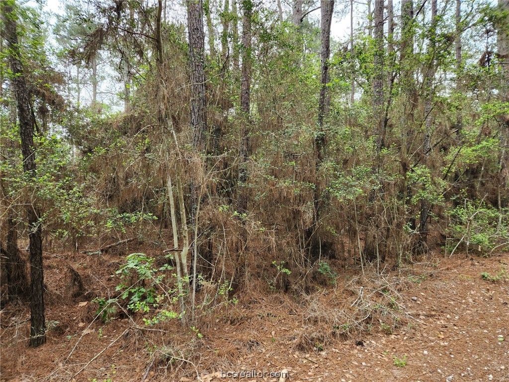 Lot 25 North Council Dr., Hempstead, TX 77445 — photo 3