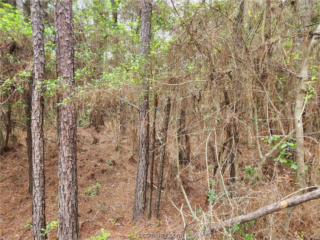 Lot 25 North Council Dr., Hempstead, TX 77445 — photo 4