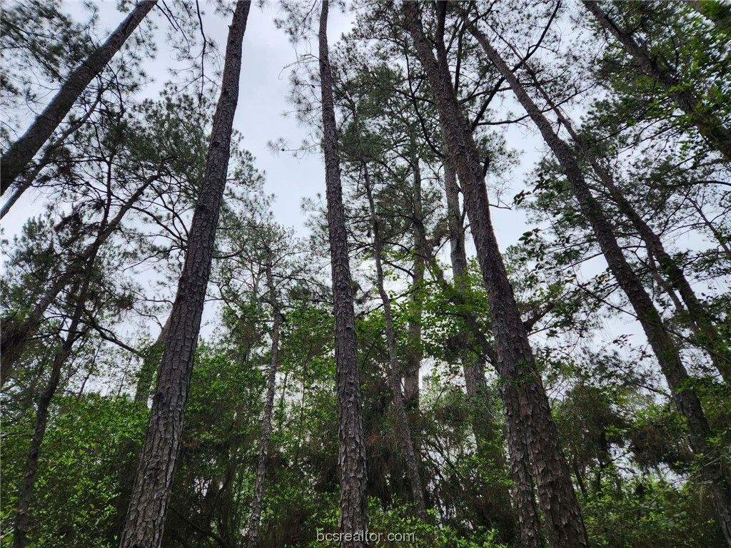 Lot 25 North Council Dr., Hempstead, TX 77445 — photo 5