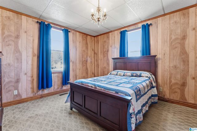 3533 WARRIOR RIVER ROAD, Concord, AL 35023