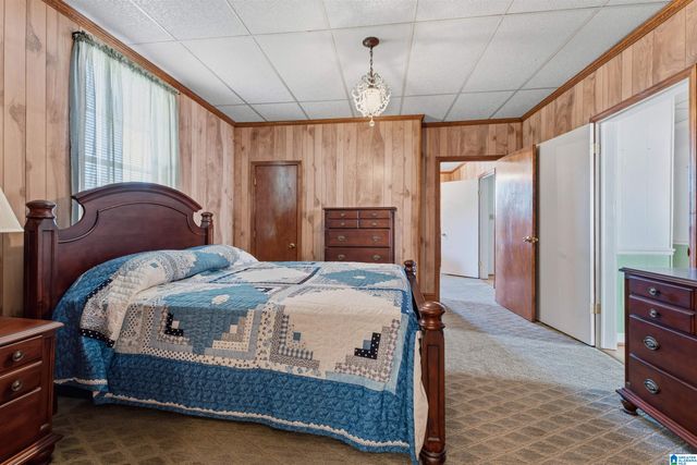 3533 WARRIOR RIVER ROAD, Concord, AL 35023