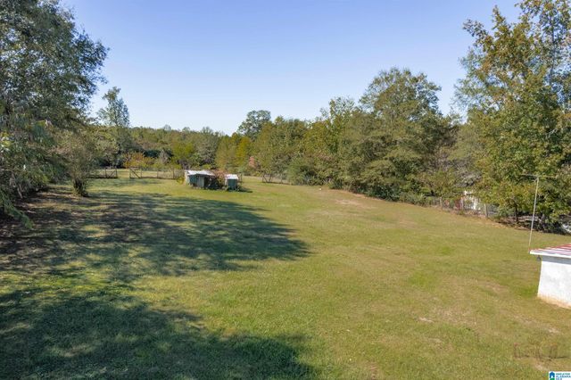 3533 WARRIOR RIVER ROAD, Concord, AL 35023