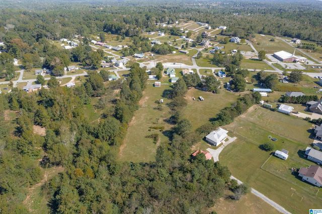 3533 WARRIOR RIVER ROAD, Concord, AL 35023