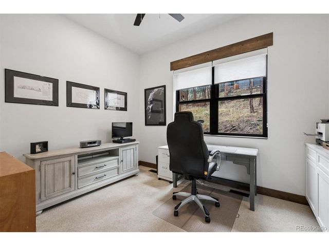 29033 Wild Rose Dr, Evergreen, CO 80439