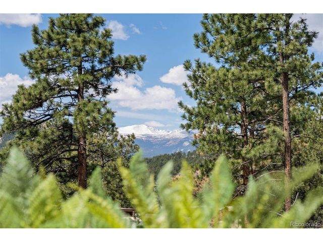 29033 Wild Rose Dr, Evergreen, CO 80439
