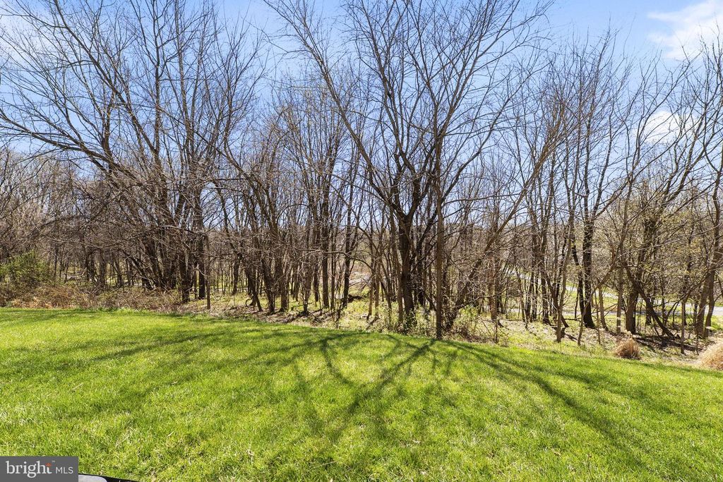 Image 80 of property listing at 2419 MILL RACE RD, Frederick, MD 21701