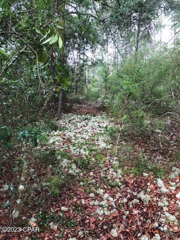 000 Sunrise Way, Panama City, FL 32409