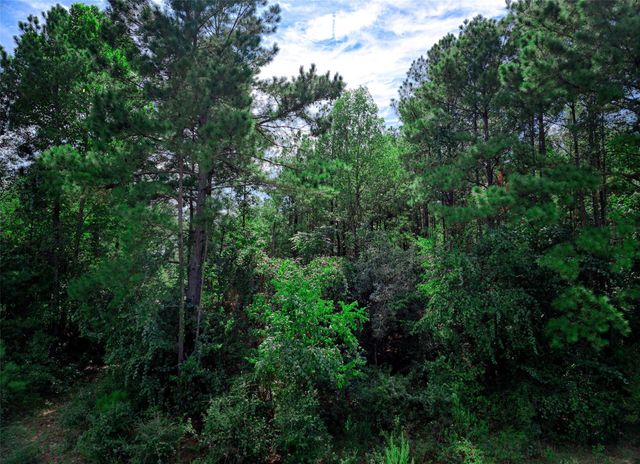 3-15-36 Winchester Road, Huntsville, TX 77340