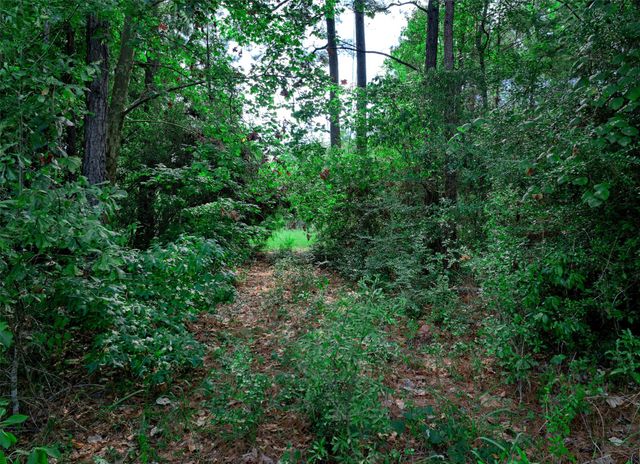 3-15-36 Winchester Road, Huntsville, TX 77340