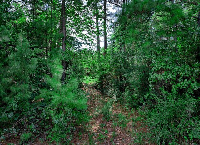 3-15-36 Winchester Road, Huntsville, TX 77340