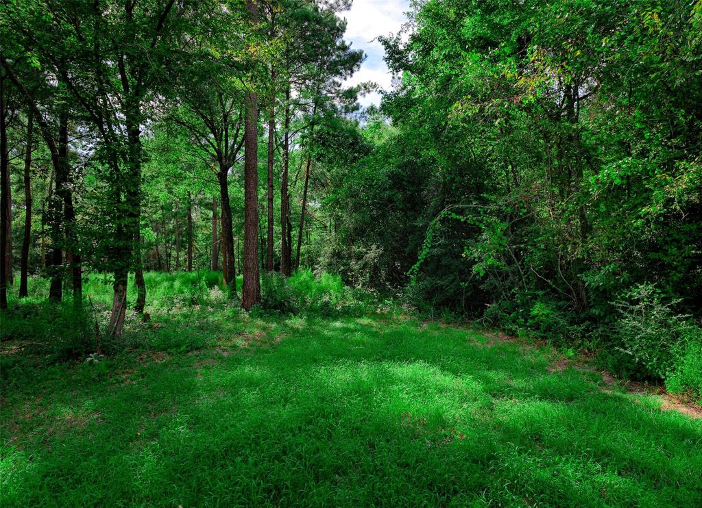 3-15-36 Winchester Road, Huntsville, TX 77340