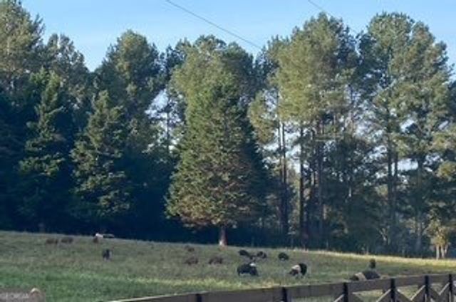 919 Arnold Bottoms Road, Comer, GA 30629