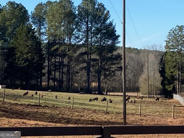 919 Arnold Bottoms Road, Comer, GA 30629