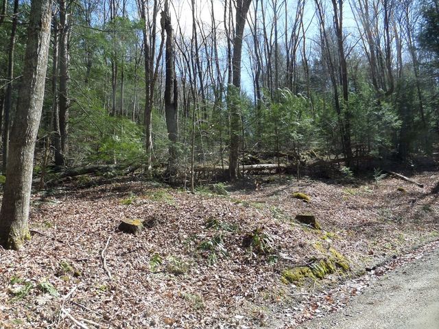 LOT 1 Thayer Hill Road, Worthington, MA 01098