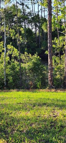 79 PEPPERDINE DR, Palm Coast, FL 32164