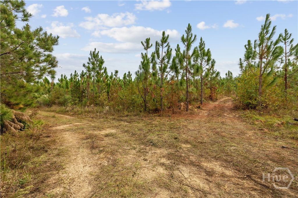 Image 10 of property listing at 0 Hwy 297 - Tracts 2,3,4 &5, Soperton, GA 30457