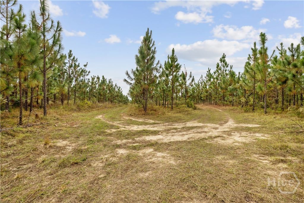 Image 11 of property listing at 0 Hwy 297 - Tracts 2,3,4 &5, Soperton, GA 30457