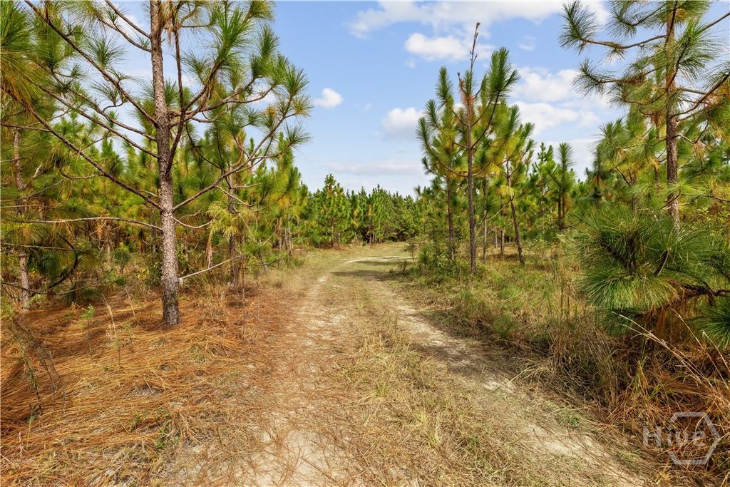 Image 13 of property listing at 0 Hwy 297 - Tracts 2,3,4 &5, Soperton, GA 30457