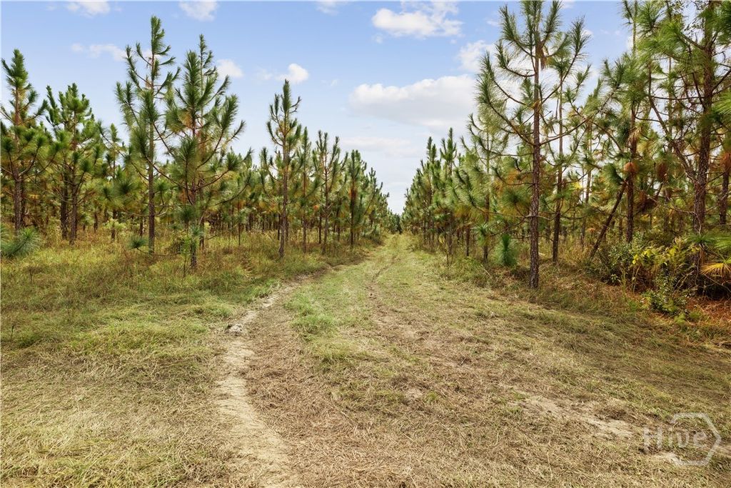 Image 14 of property listing at 0 Hwy 297 - Tracts 2,3,4 &5, Soperton, GA 30457