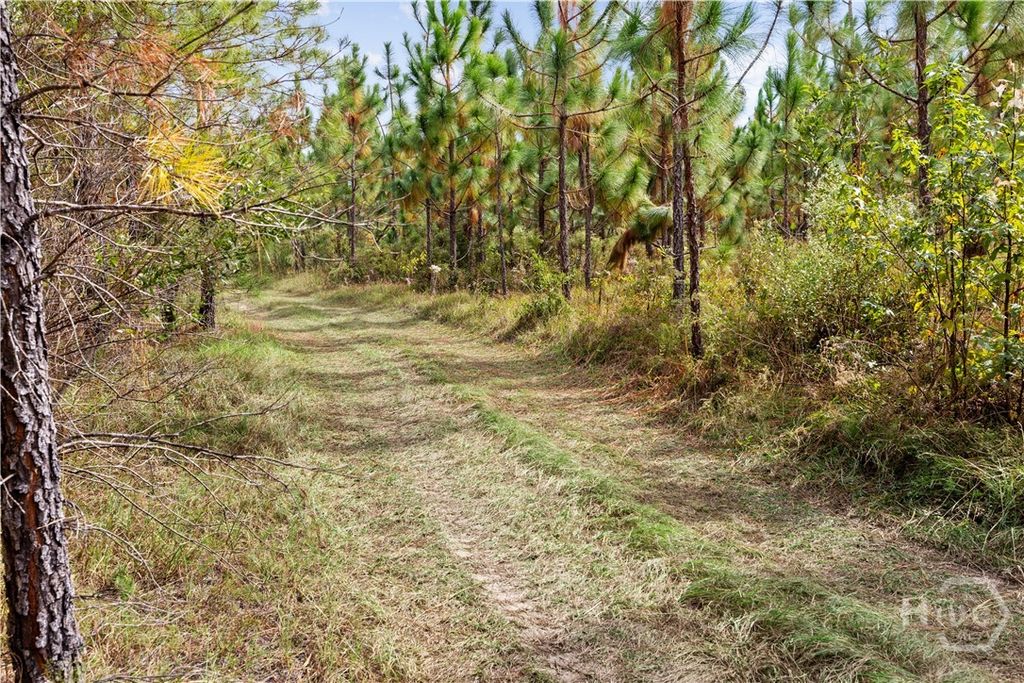 Image 15 of property listing at 0 Hwy 297 - Tracts 2,3,4 &5, Soperton, GA 30457