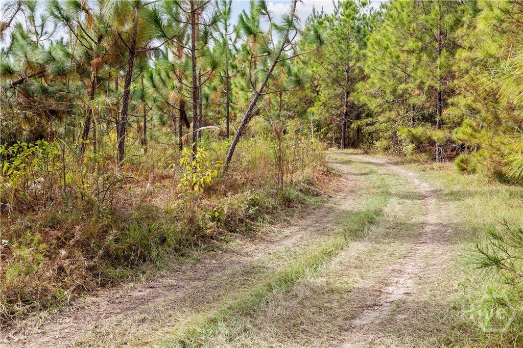 Image 16 of property listing at 0 Hwy 297 - Tracts 2,3,4 &5, Soperton, GA 30457