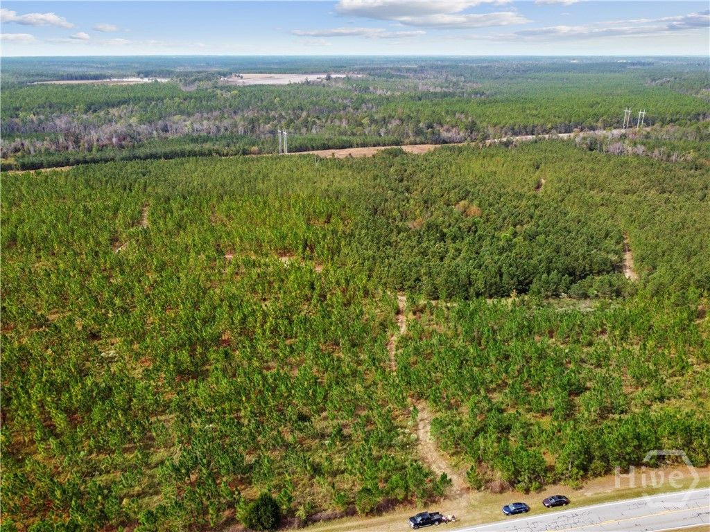 Image 17 of property listing at 0 Hwy 297 - Tracts 2,3,4 &5, Soperton, GA 30457