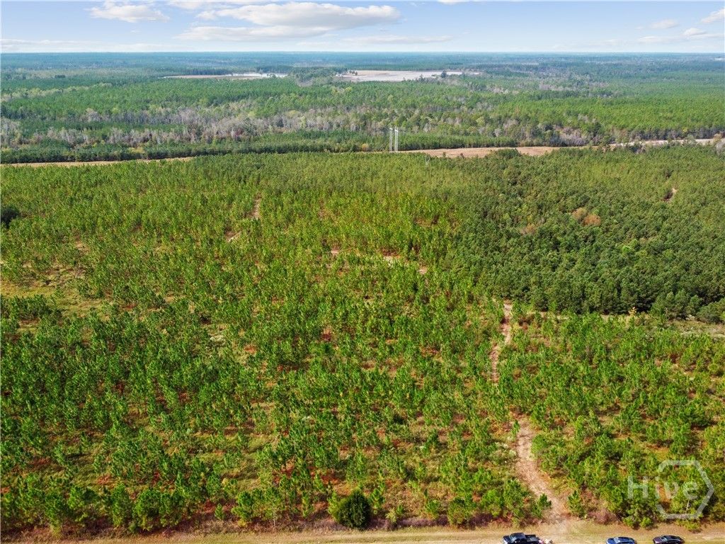 Image 18 of property listing at 0 Hwy 297 - Tracts 2,3,4 &5, Soperton, GA 30457