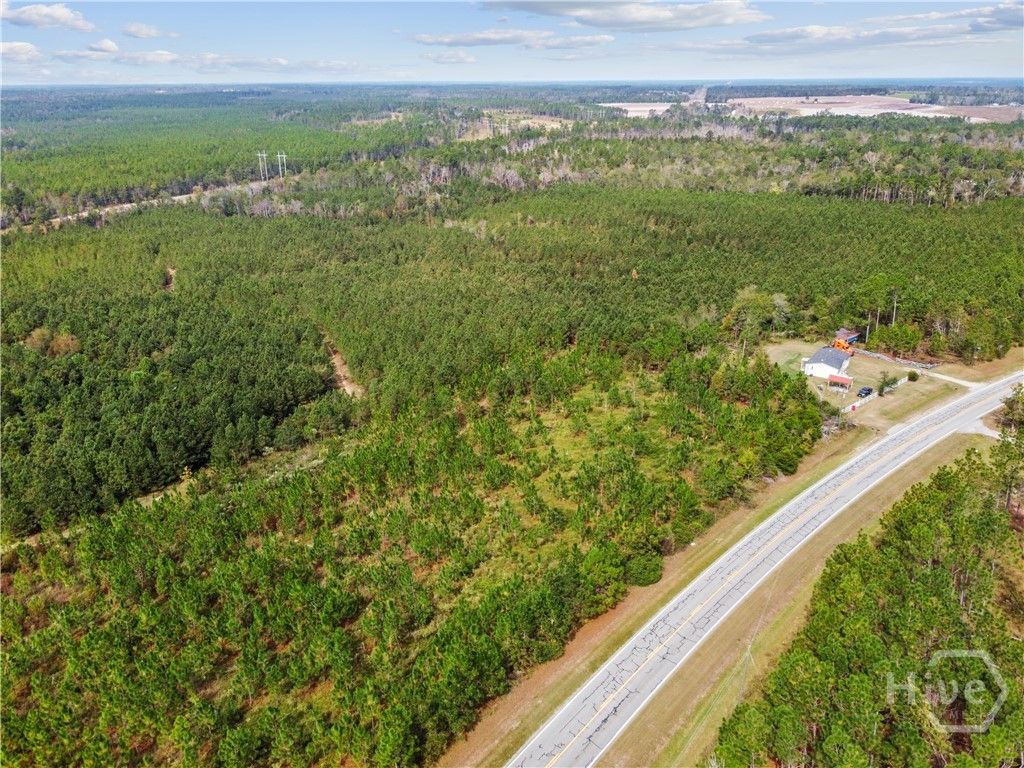 Image 19 of property listing at 0 Hwy 297 - Tracts 2,3,4 &5, Soperton, GA 30457